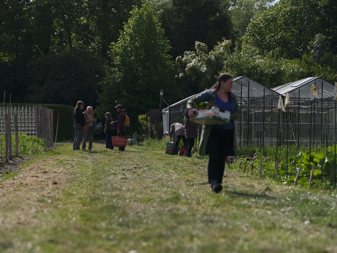 senior community garden gathering
